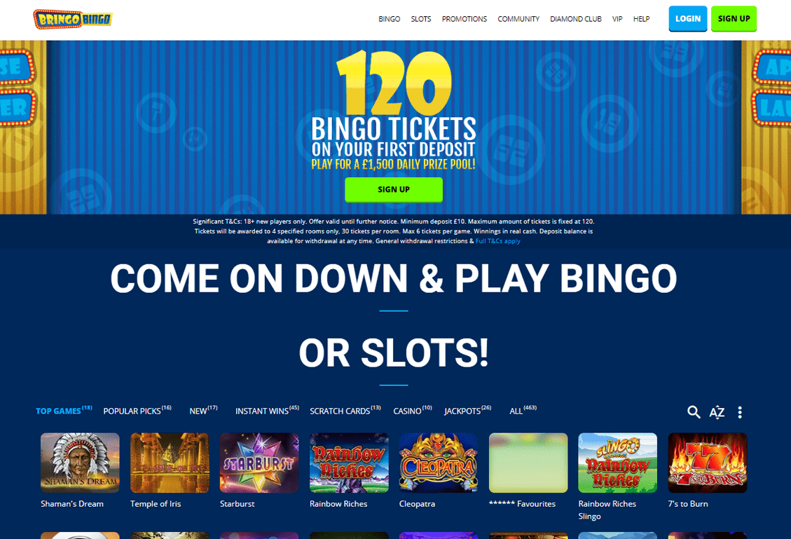 Bringo Bingo Screenshot